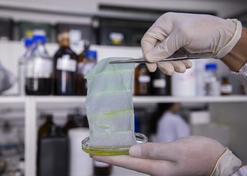 As mantas, utilizadas como embalagens, são capazes de monitorar a qualidade de alimentos em tempo real pela alteração da cor. — Foto: Divulgação / Embrapa