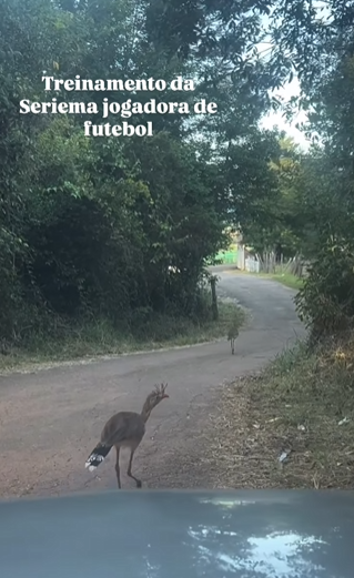 Depois da partida, ela ainda arruma tempo para uma corridinha. - Foto: @digo_germano/Instagram