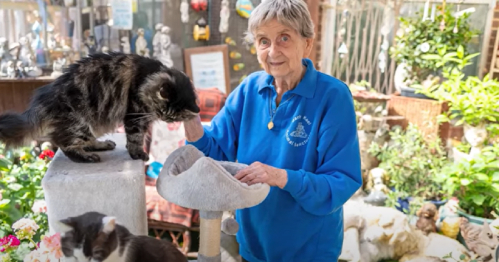 A coisa favorita dela é alimentar os gatos pela manhã. - Foto: SWNS