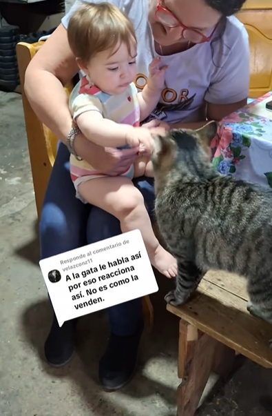 Em outro vídeo, a gatinha aparece brincando com a neném. - Foto: @soniacurbello/TikTok