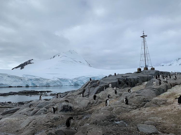A Antártida é um termômetro para as mudanças climáticas no mundo. - Foto: Lauriane Quelever