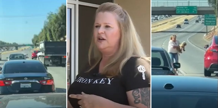 A mulher contou que costuma resgatar animais e só fez o que deveria ser feito. - Foto: FOX26 News