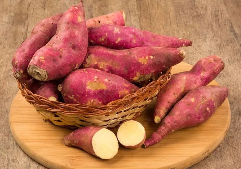 Cientistas da China comprovam o que os atletas já sabiam. A batata-doce é rica em fibras, vitaminas, nutrientes e faz muito bem à saúde. - Foto: naturvida