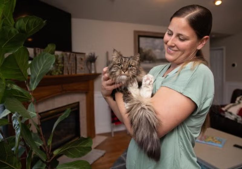 Agora ela tem todo amor na casa da nova tutora. - Foto: SWNS