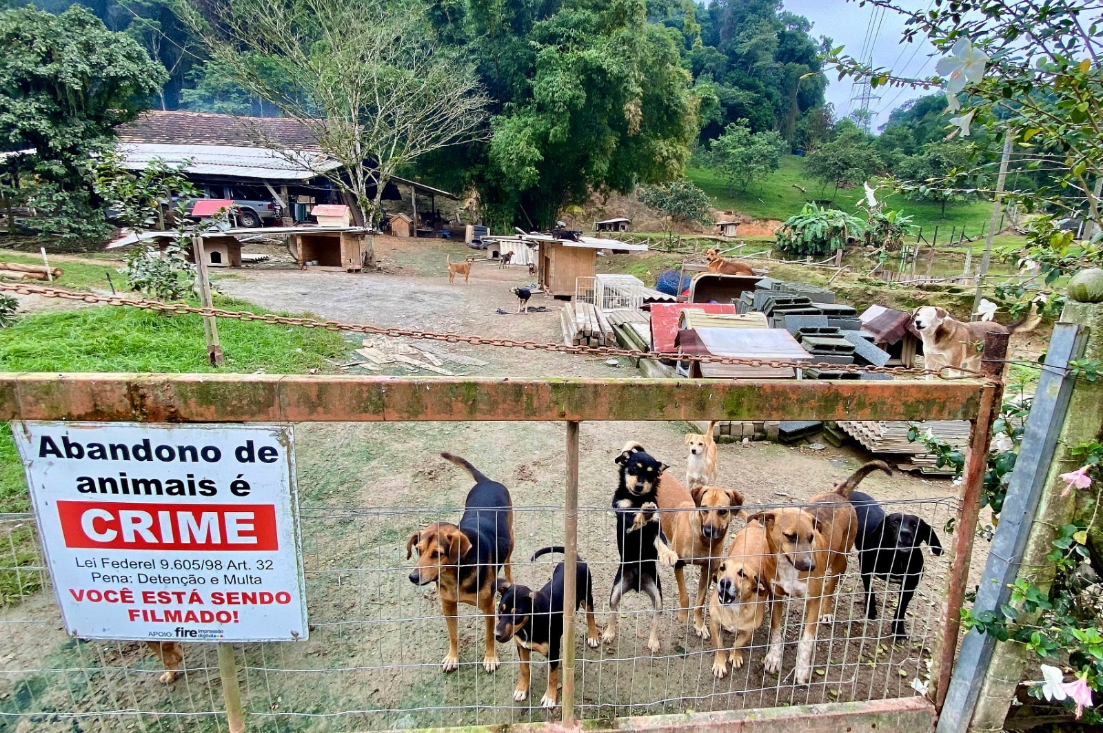 Todo o material é doado por empresas da região. - Foto: Polícia Penal/ND