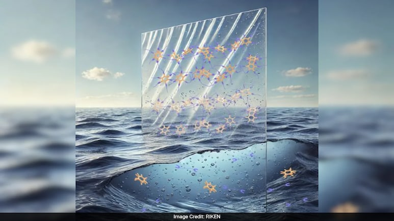 O plástico não tóxico que se dissolve na água deixa para trás nitrogênio e fósforo. - Foto: RIKEN