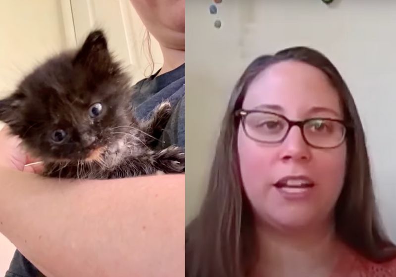 A jovem Duke viu o filhotinho de gato miando nos trilhos de uma estação de trem do Alaska e voltou ao local para resgatar o bichinho. - Fotos: Portia Duke/KTUU