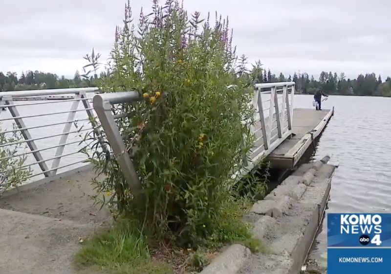 O garoto herói retirou o menino que estava se afogando debaixo desse píer. - Foto: reprodução Komo News