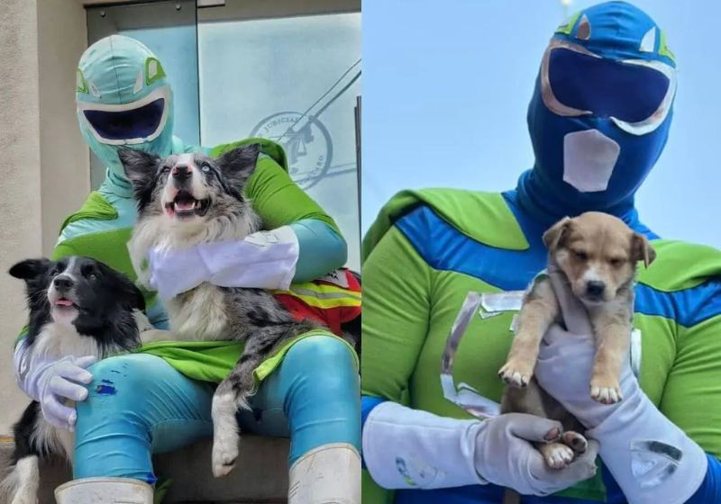 O super-herói que resgata animais age nas ruas do México há 5 anos. - Fotos: Instagram @zadrigman