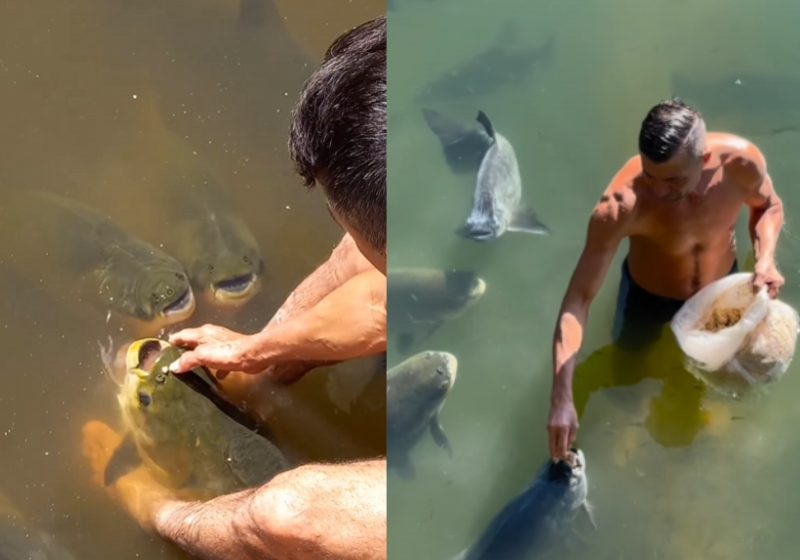 O brasileiro Valdemir Alves ficou conhecido como Encantador de Peixes por alimentar na boca tambaquis gigantes no Mato Grosso - Foto: reprodução redes sociais
