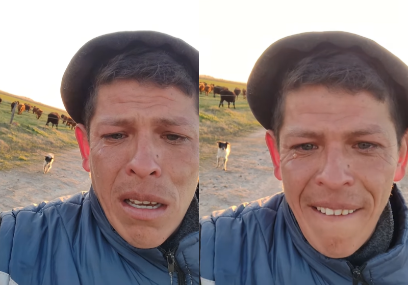 O cachorrinho segue o Vitor Diaz até a porteira, após o jovem ser demitido da fazenda onde trabalhava. Vitor chora. Foram 11 anos no serviço ao lado do bichinho. - Foto: reprodução redes sociais