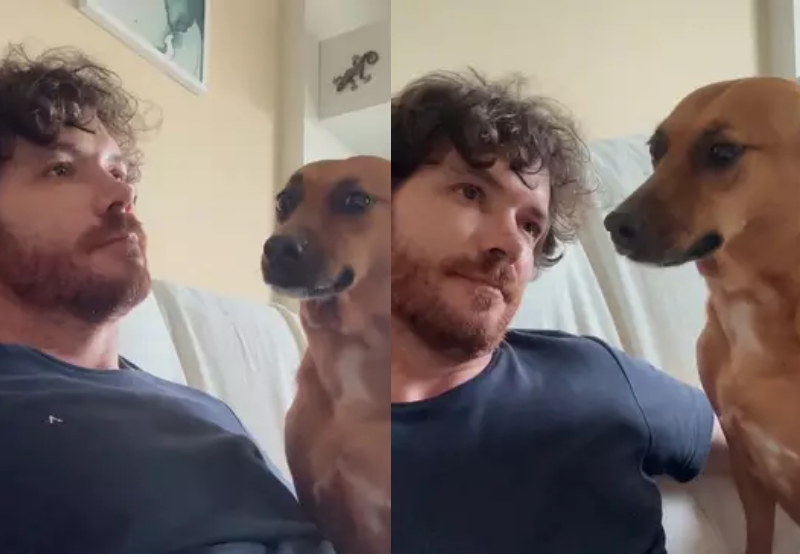 O caramelo deu todo o suporte para o tutor, que estava em crise de glicemia - Foto: reprodução redes sociais