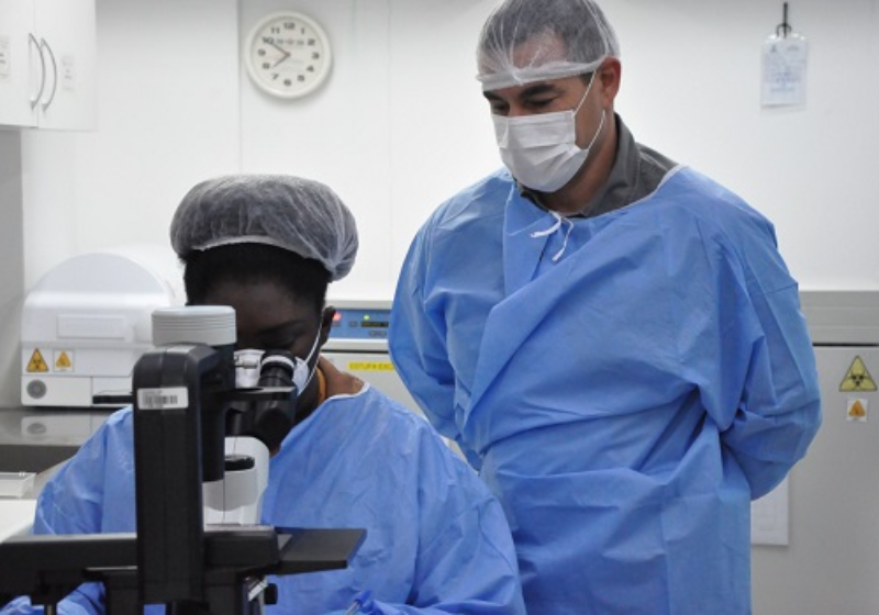 Cientistas da Fiocruz descobriram nanopartículas que podem ser a resposta para um tratamento inovador para o câncer de mama - Foto: Fiocruz