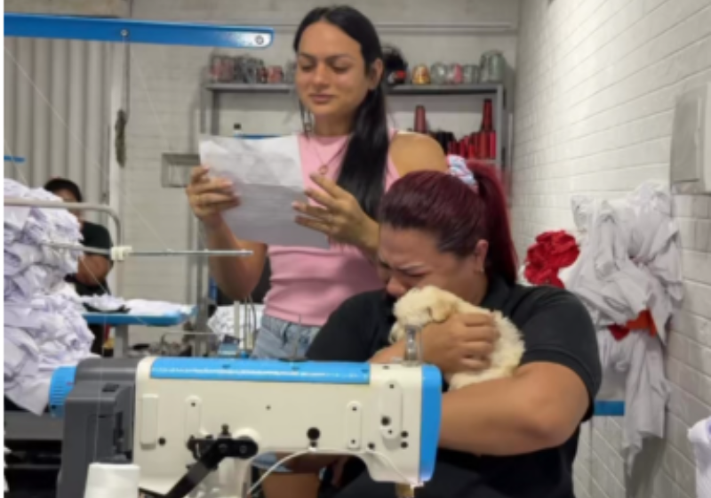 A chefe, de Fortaleza, viu a tristeza da funcionária que perdeu um pet e fez uma surpresa: deu a ela uma cachorrinha numa caixa com uma carta. - Foto: @leon_robson