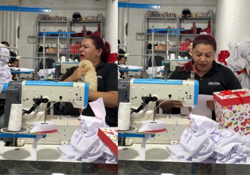 Jaqueline, que é funcionária de uma fábrica de pijamas, ganha de presente da chefe Leona uma cachorrinha, que ela tanto queria. Foto: @leon_robson