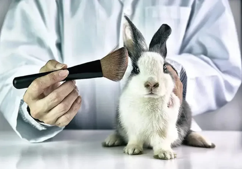 A nova lei aprovada em Brasília não só proíbe os testes como a venda de produtos testados em animais. - Foto: Freepik