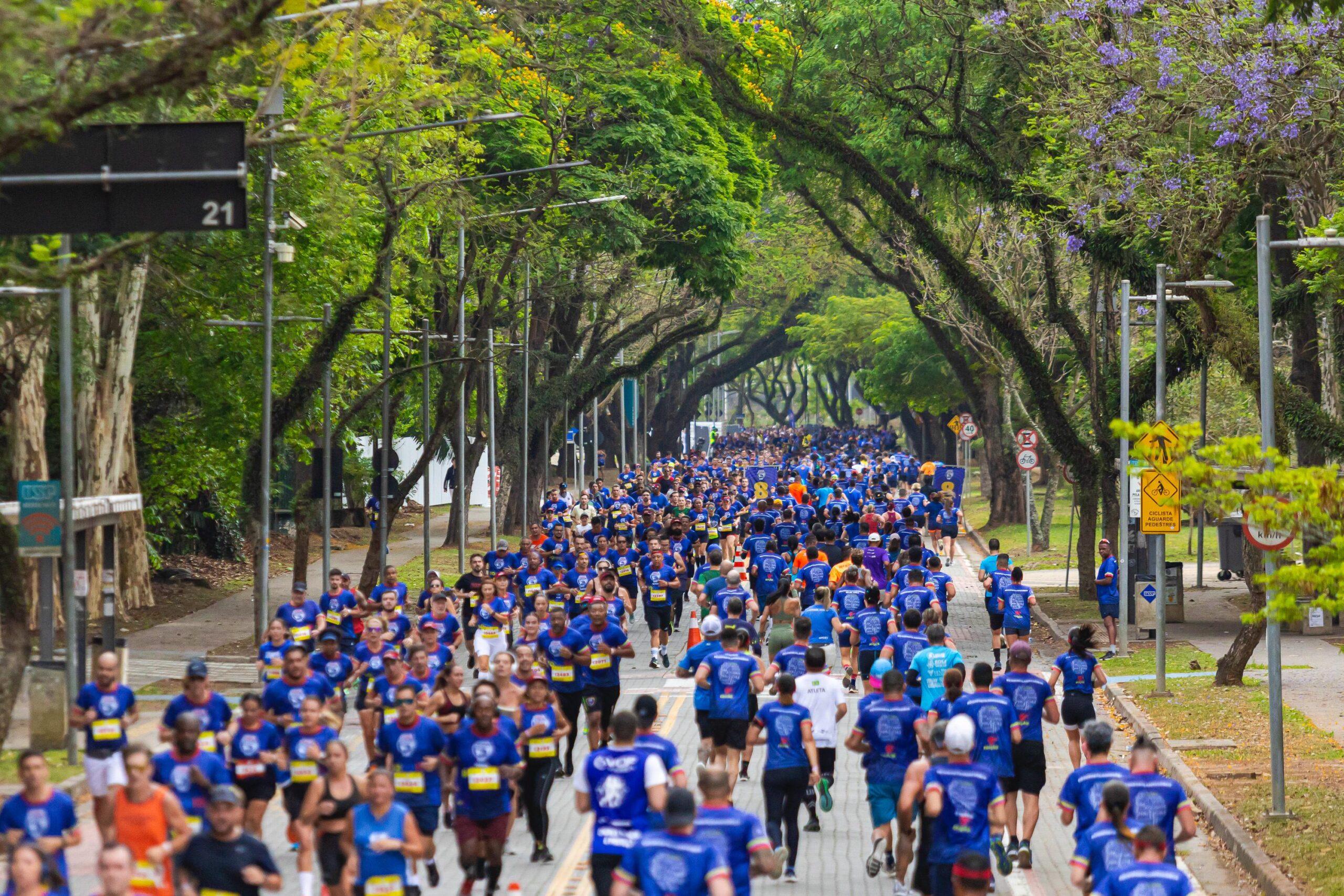 A cada inscrição, a Bimbo vai doar 20 fatias de pão para combater a fome no mundo. - Foto: divulgação/Bimbo