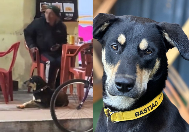 Bastião, o cachorro que foge e vai para o bar, ficou famoso e já recebeu até convite para fazer publi. - Foto: reprodução redes sociais