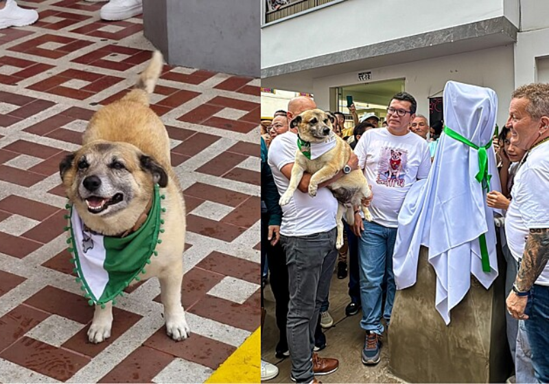 Uma cidade na Colômbia inaugurou uma estátua em homenagem a um caramelo querido por todos. - Foto: Alcaldía De Sevilla Valle