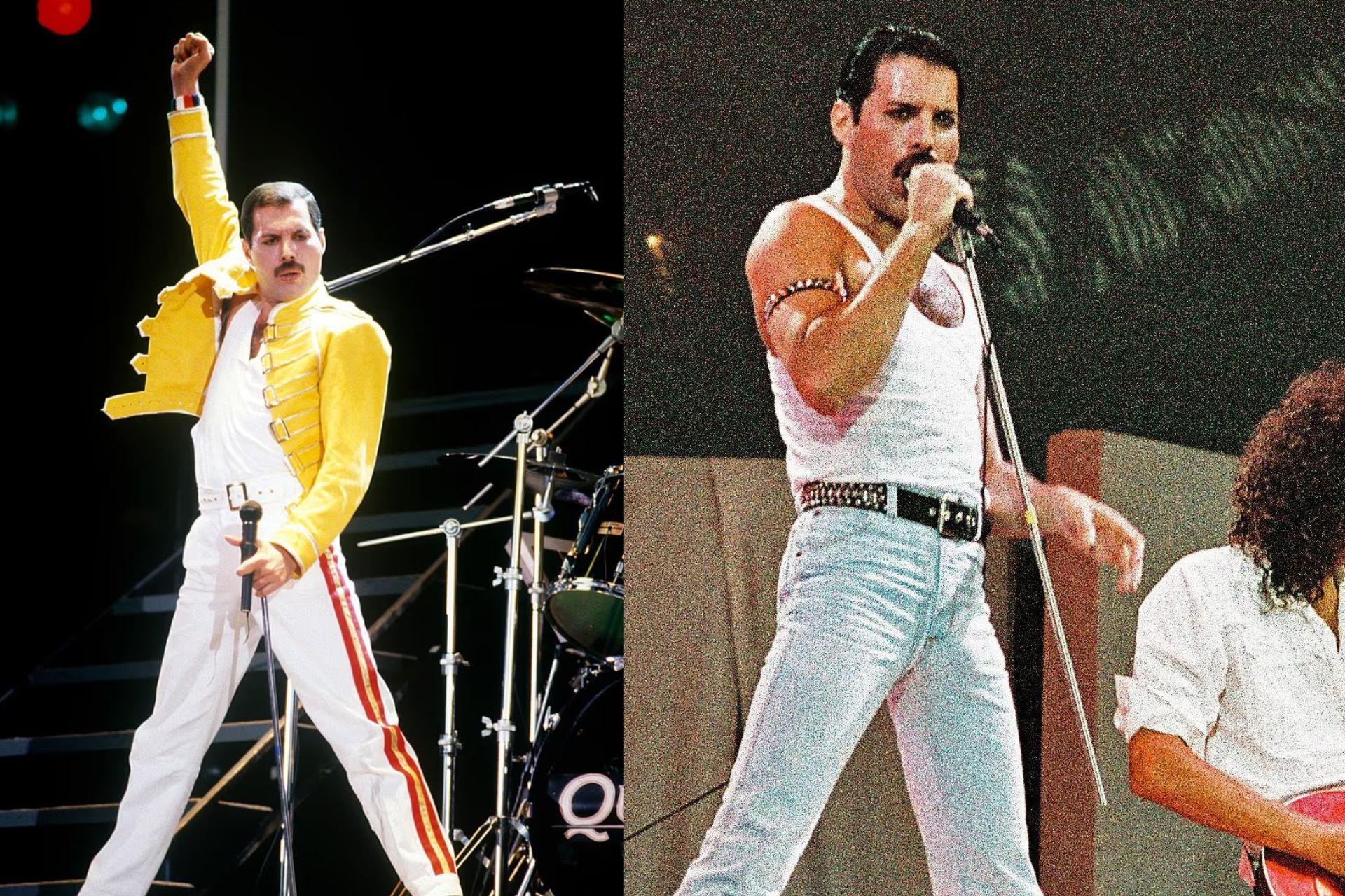 Um teste de DNA teria comprovado que a suposta filha secreta é realmente de Freddie Mercury. A autora da nova biografia confirmou o exame. Fotos: Getty Images