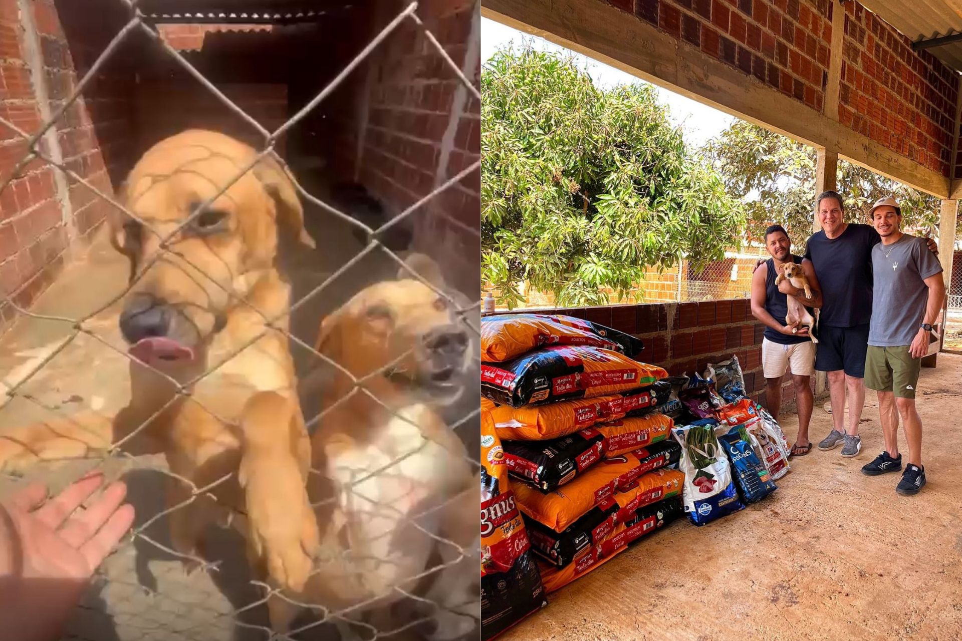 O médico veterinário Leonardo Barreto, de Brasília, arrecadou e doou para um abrigo de animais 530 kg de ração que ganhou de presente de aniversário. - Fotos: @leo.vet / Instagram