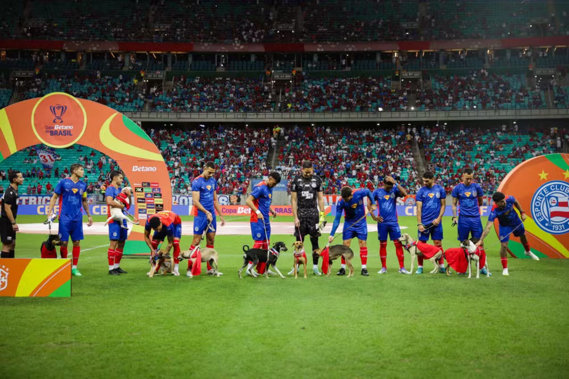 Jogadores do Bahia com cachorros em campo para incentivar adoção. - Foto: Letícia Martins/EC Bahia