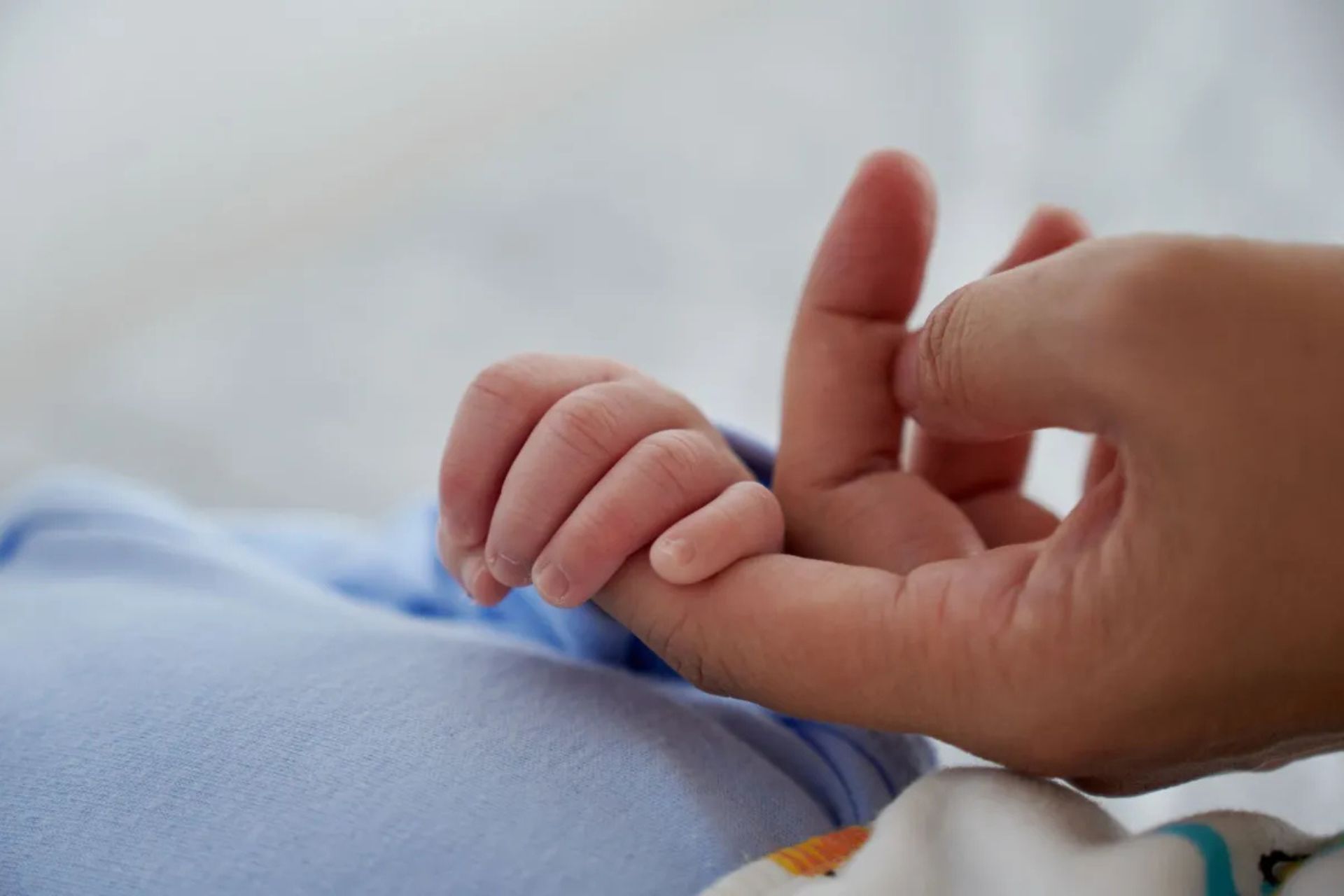 Thaddeus Daniel Pierce, o bebê que teve o embrião congelado há 30 anos, nasceu no último sábado nos Estados Unidos. - Foto ilustrativa: David Espejo/GettyImages