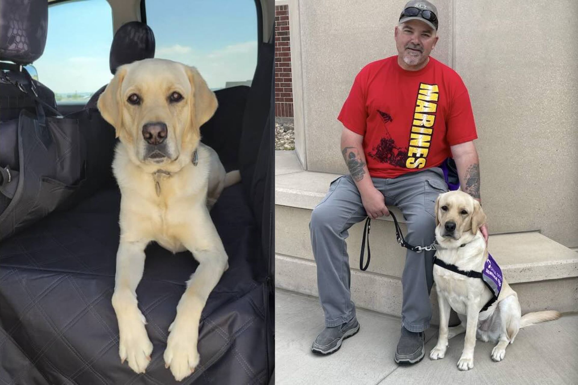 O labrador Tommy salva o tutor Hank Ford, de 54 anos, que estava prestes a ter uma AVC enquanto dormia, em Colorado (EUA). - Foto: arquivo pessoal