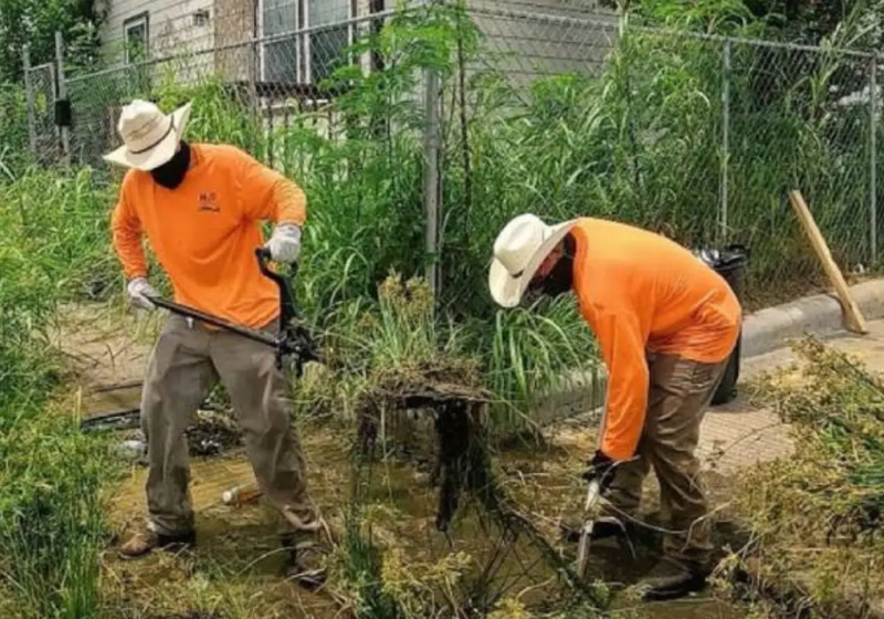 Os irmãos Daniel e Martin usam o dia de folga para ajudar desconhecidos. Eles limpam jardins, fazem reformas, sem cobrar nada e ainda inspiram outras pessoas. - Foto: Sunnyskyz
