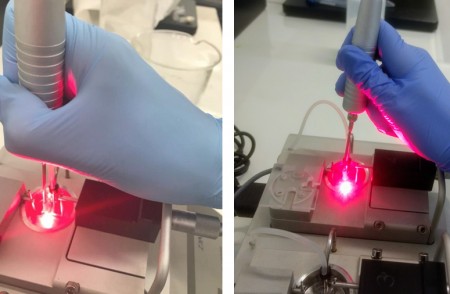 A aplicação de laser na região abdominal é capaz de combater a hipertensão provocada pela menopausa, descobre estudo brasileiro. - Fotos: Luis Henrique Oliveira de Moraes / Tereza Cristina Buzinari
