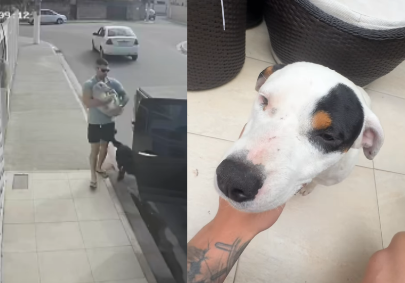 O motorista David atropelou o cachorro sem querer no Rio de Janeiro e, o que parecia uma tragédia, mudou a vida dos dois para sempre - Foto:: reprodução redes sociais