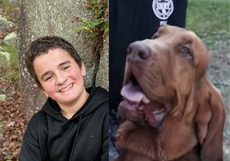 Cachorro salva garoto desaparecido que ficou 3 dias sem água