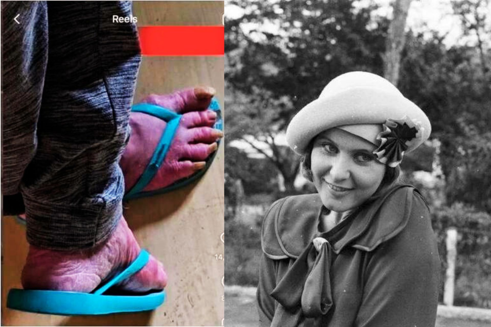 A ativista Deise Falci, que encontrou a ex-atriz da Globo com demência, durante resgate dos animais dela, começou um mutirão para ajudar Rejane Schumann - Fotos: reprodução/redes sociais