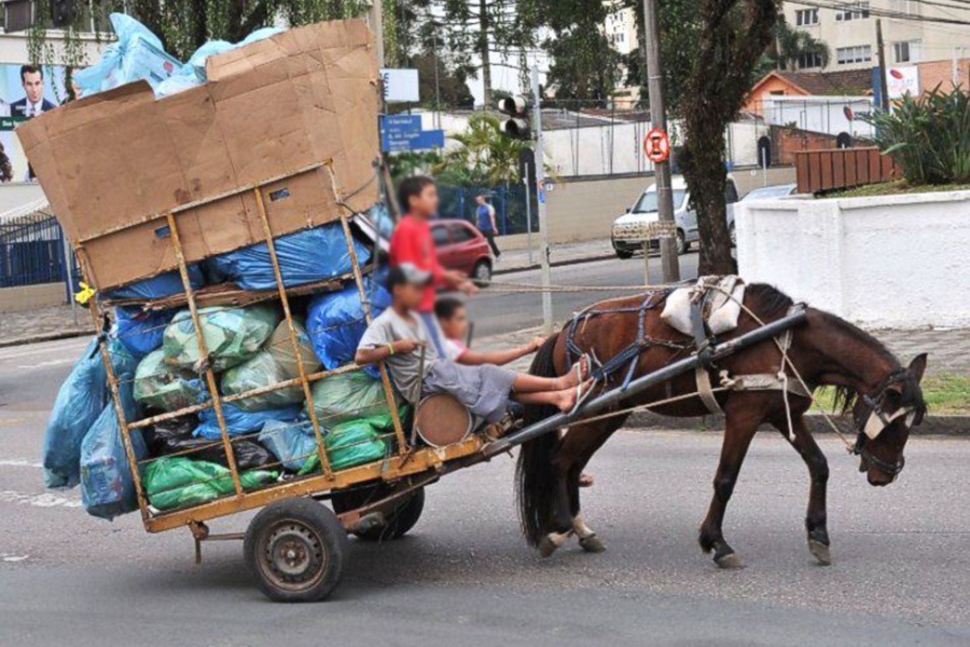 O projeto, aprovado em comissão da Câmara dos Deputados, em Brasília, proíbe animais puxando carroça em todo o Brasil e prevê prisão e multa. - Foto: reprodução/Soama