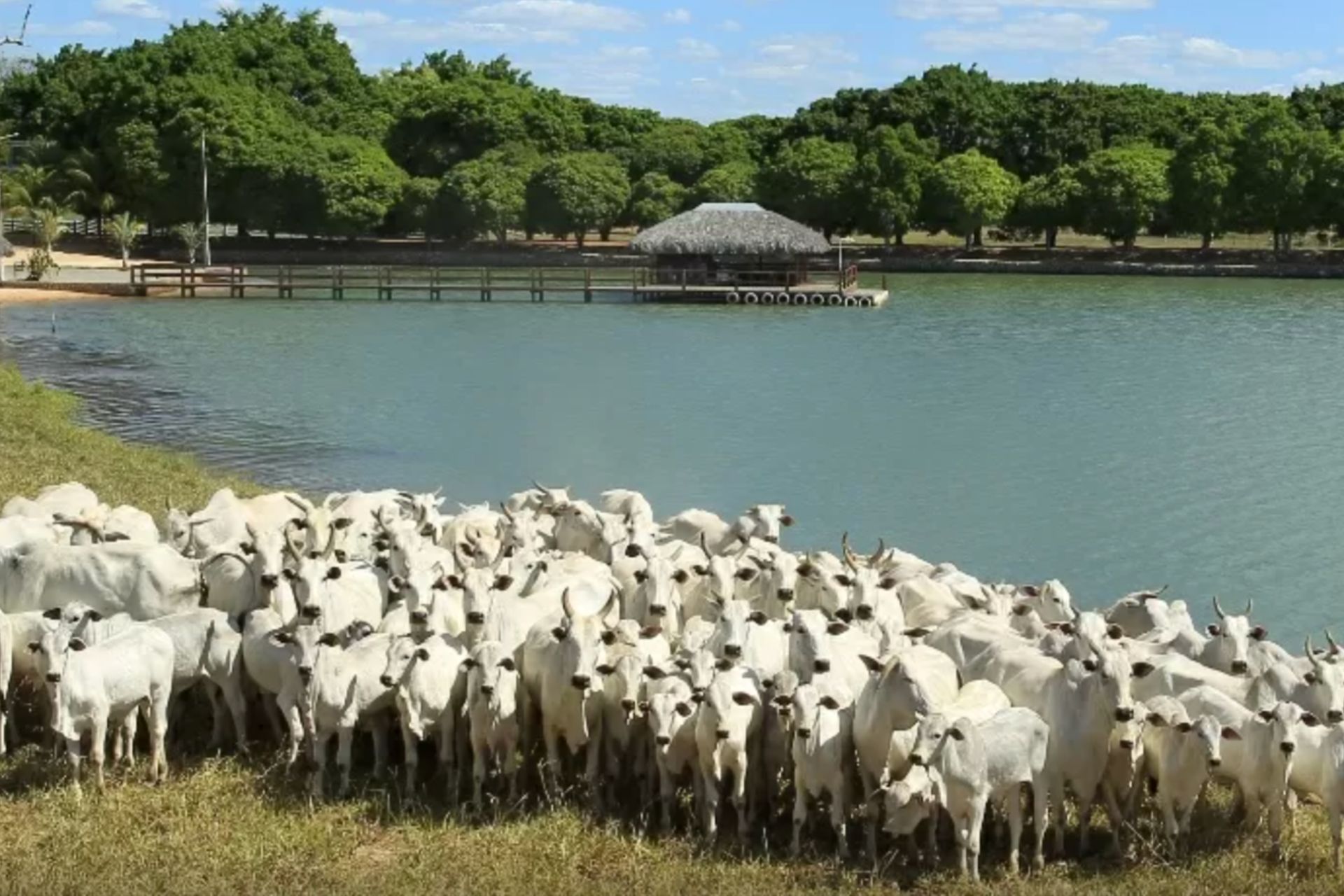 Zezé Di Camargo transformou a fazenda em santuário - Foto: divulgação/Fazenda É o Amor
