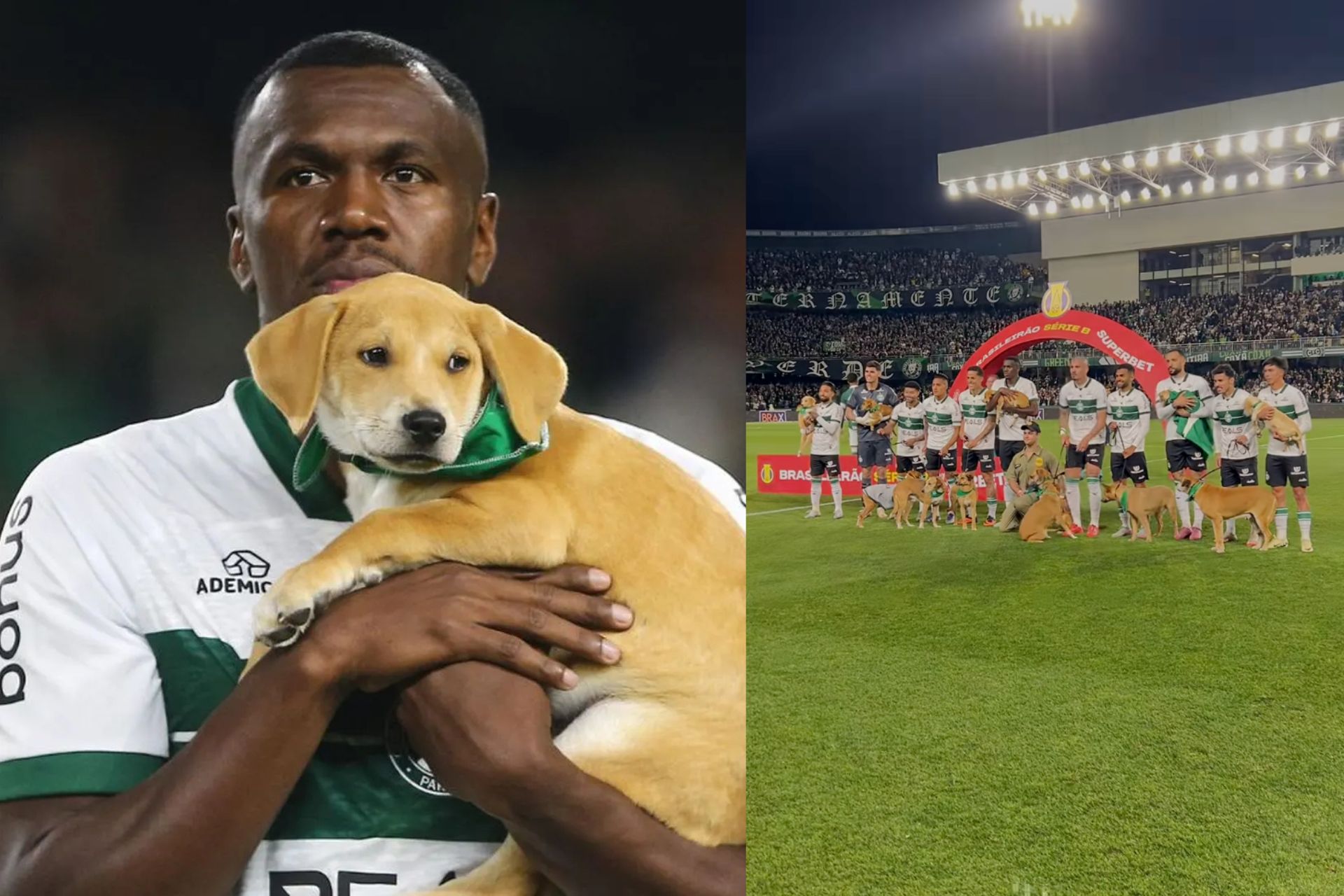 No Setembro Caramelo, jogadores do Coritiba entraram em campo com 11 cachorros para incentivar a adoção. -Fotos: reprodução/redes sociais