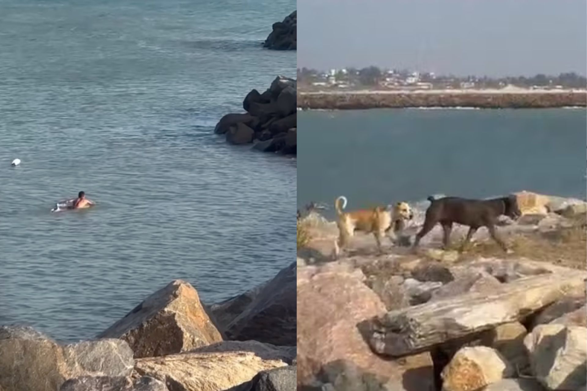 O surfista herói resgatou o cachorro na praia de Icaraí, em Caucaia, na Grande Fortaleza (CE). - Foto: Brenda Matias