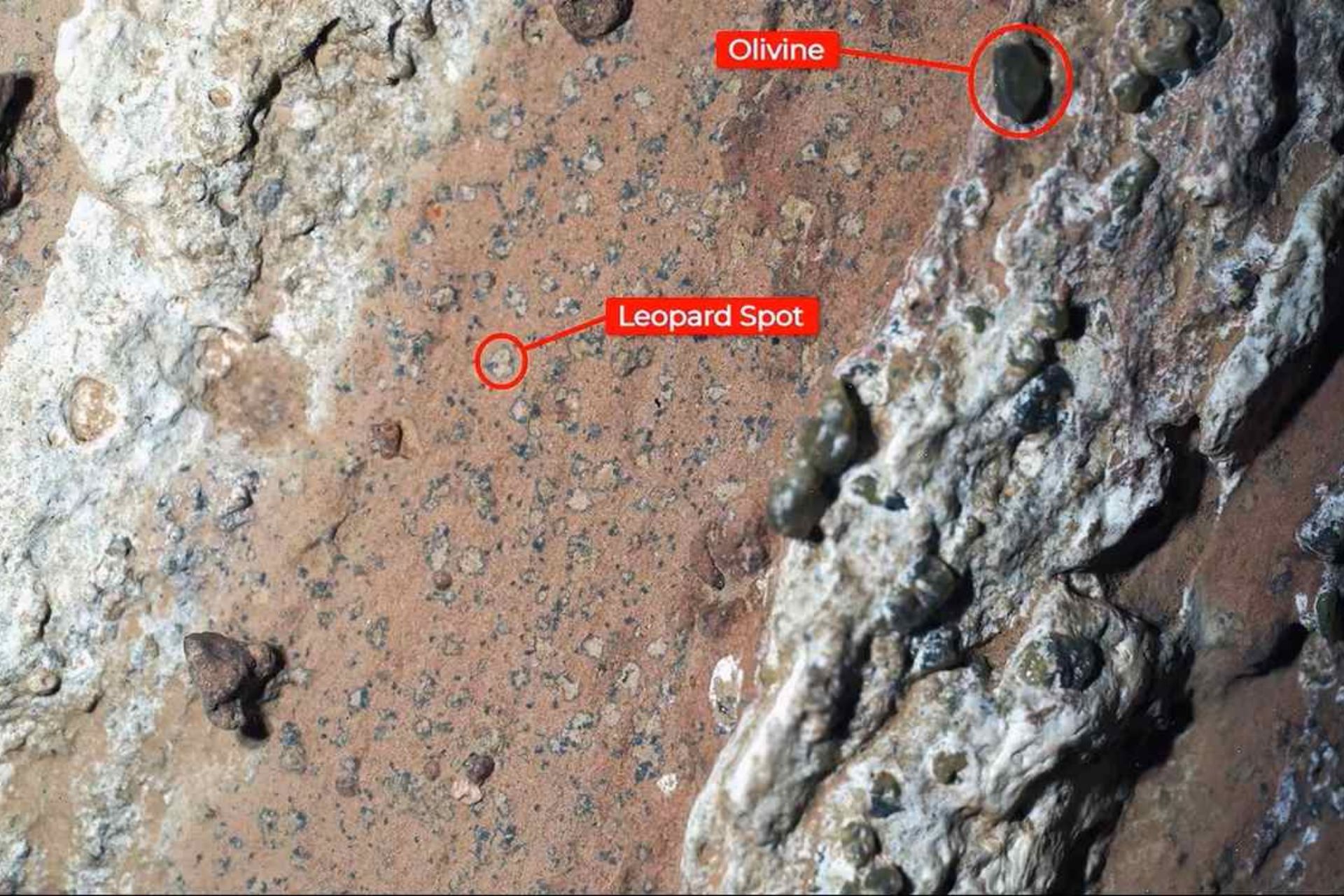 NASA e a vida em Marte: a chamada “mancha de leopardo” marca um mineral conhecido na Terra por sua produção por micróbios – Foto: NASA / JPL-Caltech / MSSS