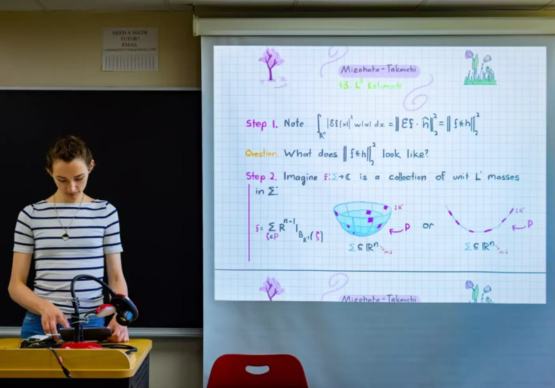 A garota conseguiu resolver a conjectura de Mizohata-Takeuch, um problema de matemática antigo, que estava sem solução desde os anos 80 - Valerie Plesch/Quanta Magazine