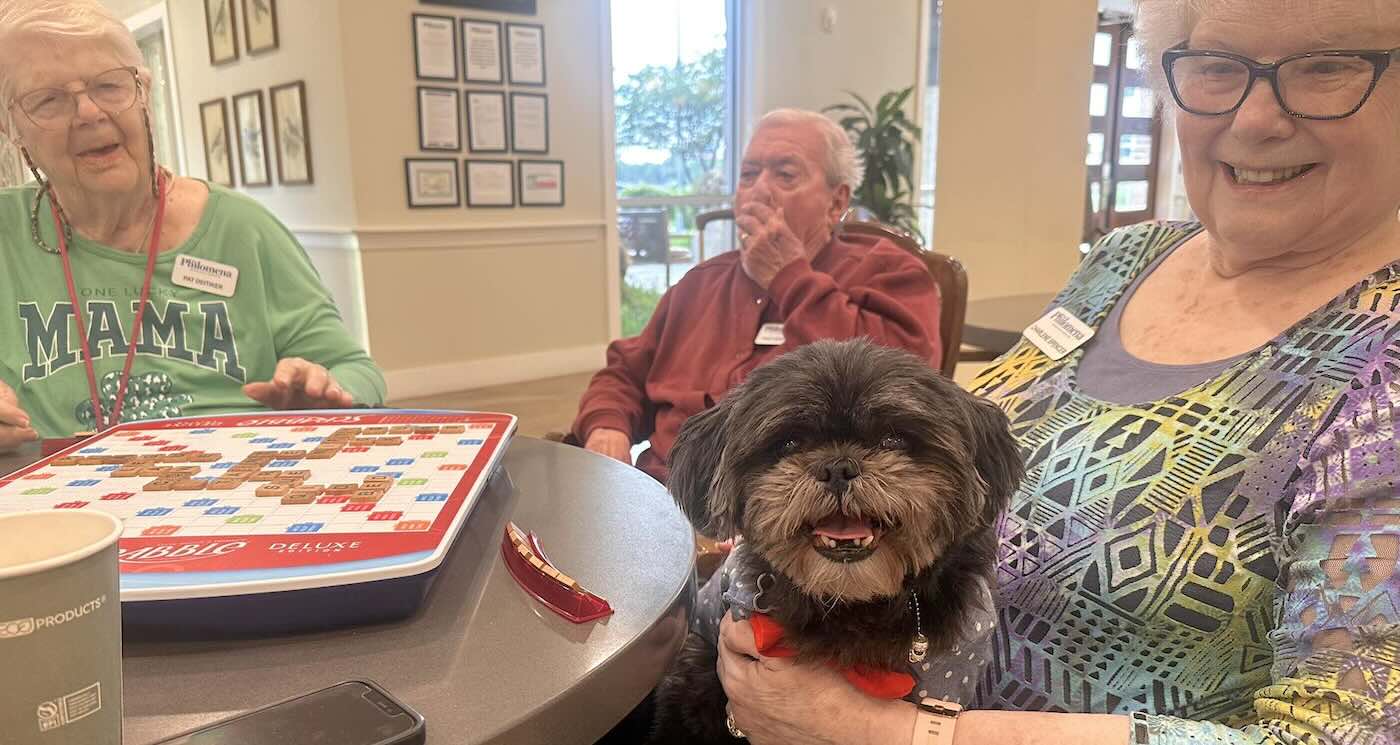 Ele adora ficar no colo e receber carinho dos vovôs e vovós. - Foto: The Philomena / Facebook