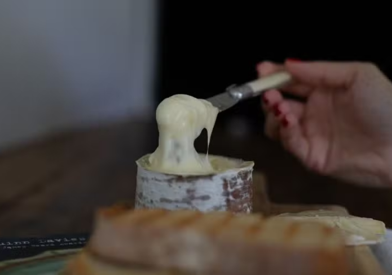 O queijo brasileiro Morro Azul, produzido em SC, ficou entre os melhores do mundo no TesteAtlas. - Foto: divulgação