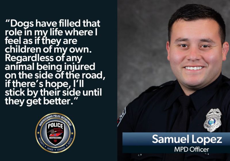 O policial foi homenageado pela corporação pela compaixão com o filhote de cachorro ferido na estrada.- Foto: reprodução/Facebook