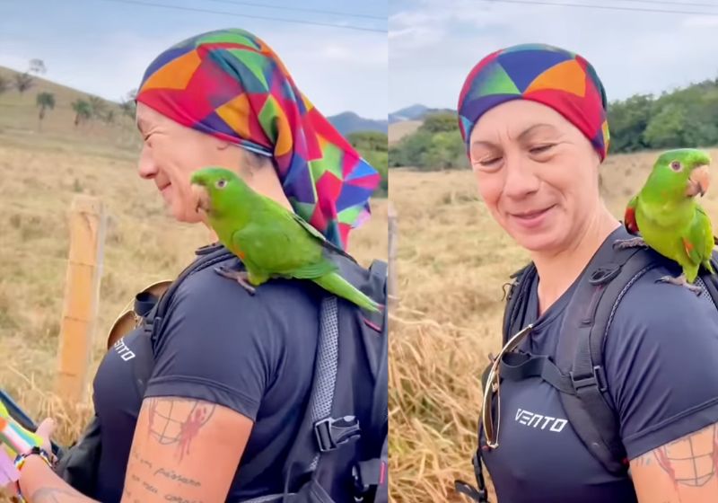 A maritaca pousa ombro da peregrina que caminhava na estrada e pega carona rumo à Basílica de Nossa Senhora Aparecida (SP). Fotos: reprodução/Instagram
