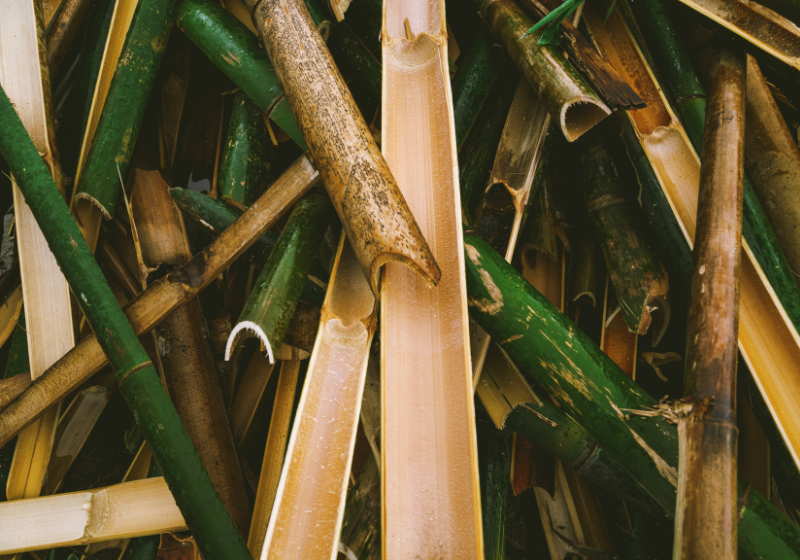 O plástico biodegradável feito de bambu, desenvolvido na China, é mais resistente que o plástico comum e se decompõe em 2 meses. - Foto: Canva