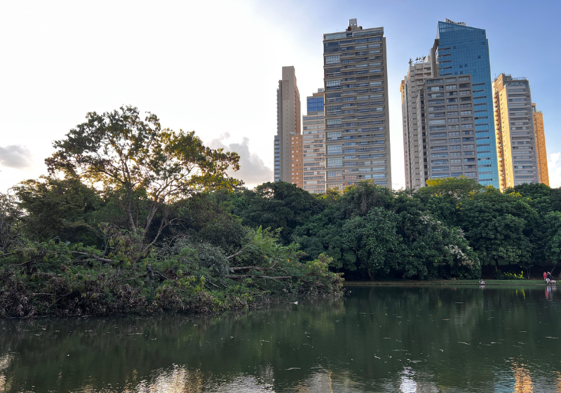 Goiânia ficou com o segundo lugar - Foto: Canva