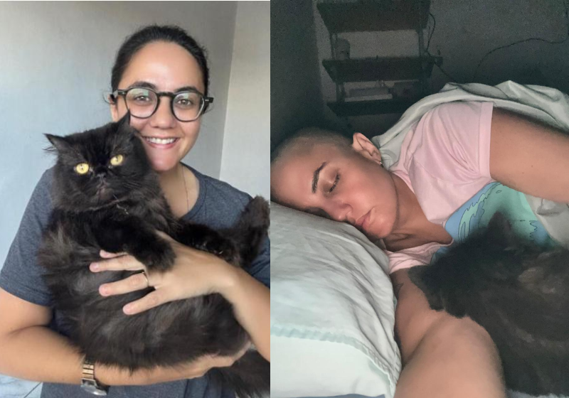 A gatinha Clarisse ajudou a jornalista Elayne a identificar e tratar um câncer de mama agressivo. Ela amassou pãozinho bem no lugar do tumor. - Foto: reprodução redes sociais