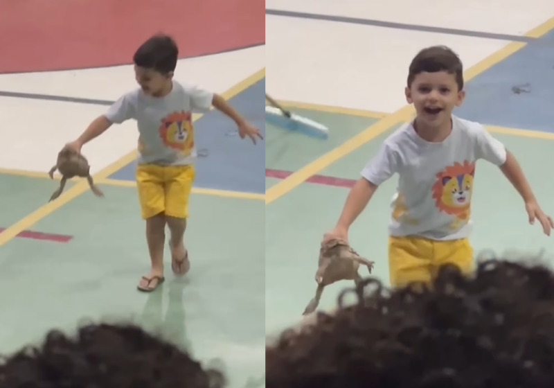 O menino Matheus viu um sapo na quadra da escola, durante um evento na Paraíba, foi lá e pegou o anfíbio com a mão. A coragem acabou viralizando nas redes. - Foto: reprodução Instagram