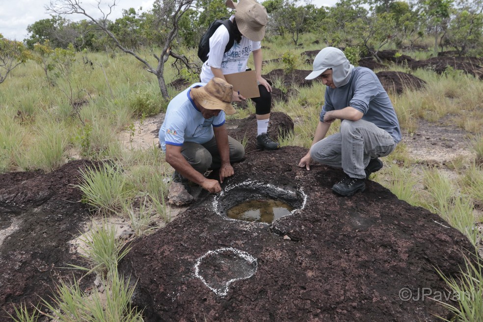 Pesquisadores de Roraima descobrem pegadas de dinossauros na Amazônia — Foto: TV Globo/Reprodução