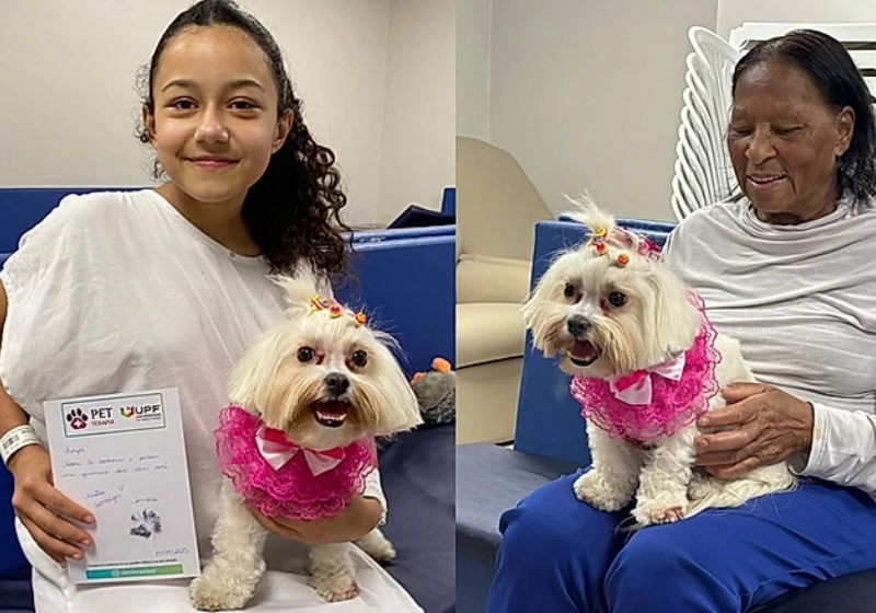 Cachorrinha terapeuta ajudou tutora a vencer doença e agora tem missão maior