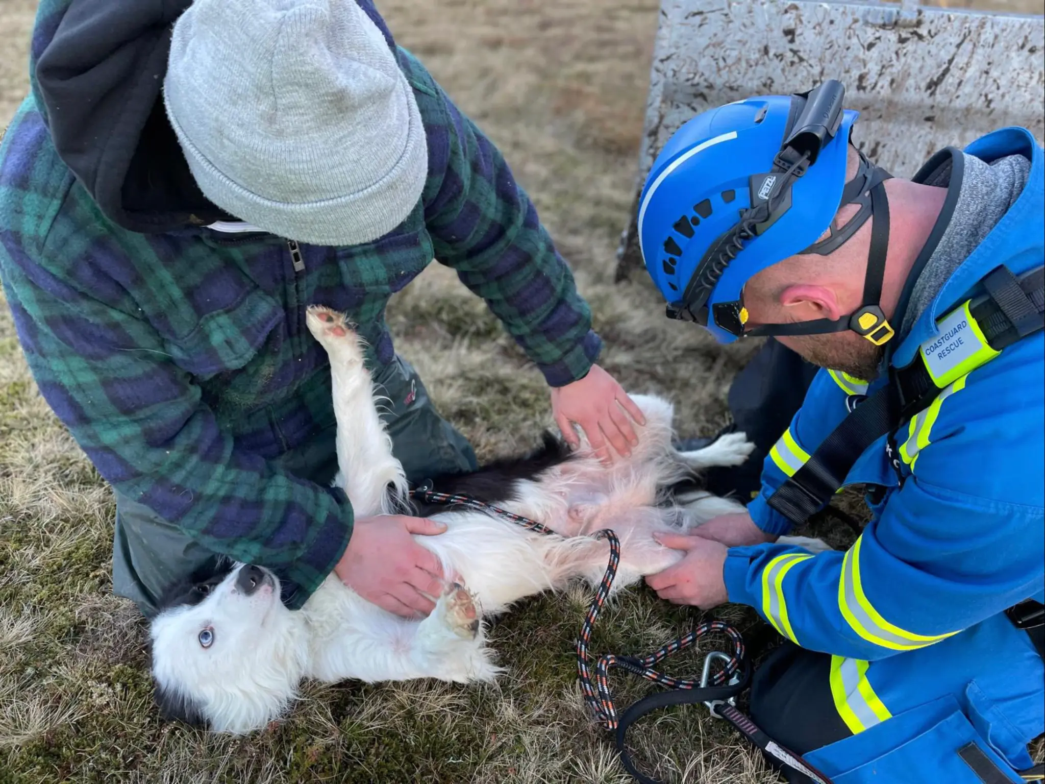 Depois do içado do penhasco, o cachorrinho recebeu os cuidados da equipe. - Foto: HM Coastguard